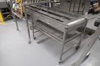 Babbco Direct Fired Tunnel Oven